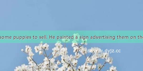 A farmer had some puppies to sell. He painted a sign advertising them on the edge of his y