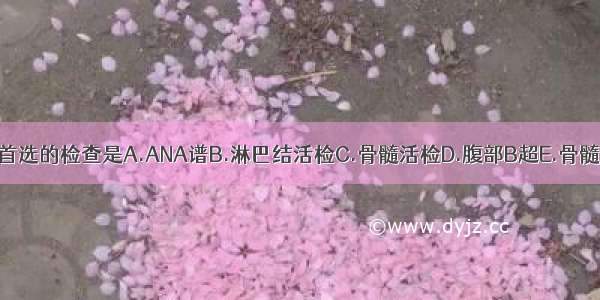 为明确诊断 首选的检查是A.ANA谱B.淋巴结活检C.骨髓活检D.腹部B超E.骨髓细胞学检查