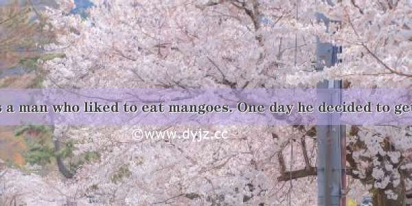 A Once there was a man who liked to eat mangoes. One day he decided to get the sweetest ma