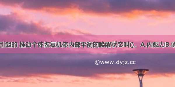 由生理需要引起的 推动个体恢复机体内部平衡的唤醒状态叫()。A.内驱力B.诱因C.情绪D.