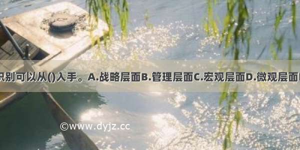 战略风险识别可以从()入手。A.战略层面B.管理层面C.宏观层面D.微观层面E.信息层面