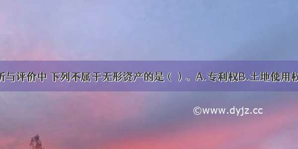 项目决策分析与评价中 下列不属于无形资产的是（）。A.专利权B.土地使用权C.商标权D.