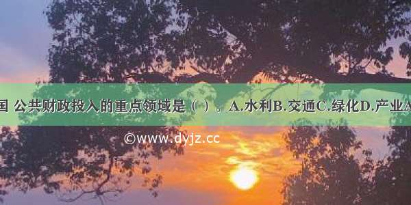 在我国 公共财政投入的重点领域是（）。A.水利B.交通C.绿化D.产业ABCD