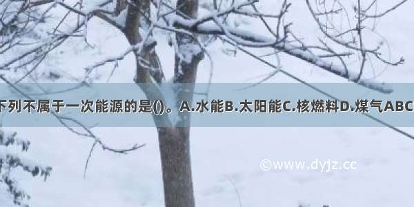 下列不属于一次能源的是()。A.水能B.太阳能C.核燃料D.煤气ABCD