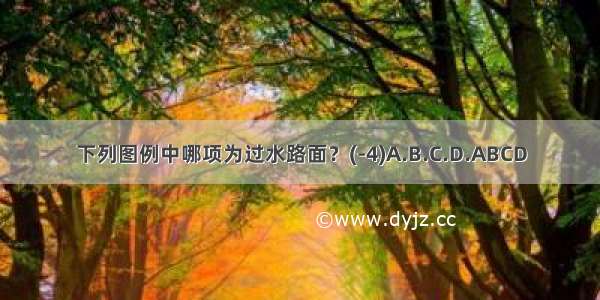 下列图例中哪项为过水路面？(-4)A.B.C.D.ABCD