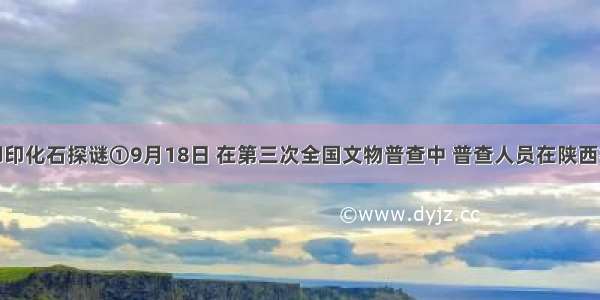 神木巨型脚印化石探谜①9月18日 在第三次全国文物普查中 普查人员在陕西神木县栏杆