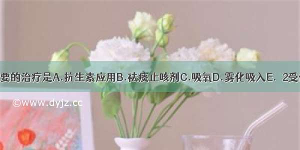 该患者主要的治疗是A.抗生素应用B.祛痰止咳剂C.吸氧D.雾化吸入E.β2受体激动剂