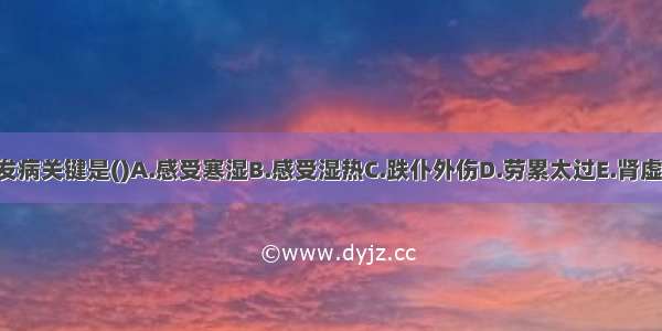 腰痛的发病关键是()A.感受寒湿B.感受湿热C.跌仆外伤D.劳累太过E.肾虚ABCDE