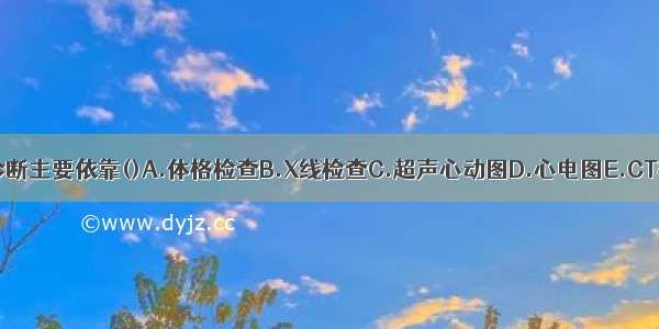 心律失常的诊断主要依靠()A.体格检查B.X线检查C.超声心动图D.心电图E.CT检查ABCDE