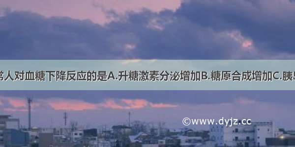 下述不是正常人对血糖下降反应的是A.升糖激素分泌增加B.糖原合成增加C.胰岛素分泌减少