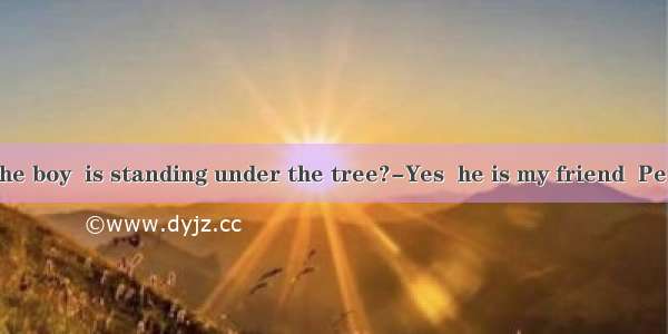 –Do you know the boy  is standing under the tree?-Yes  he is my friend  Peter.A. whatB. wh