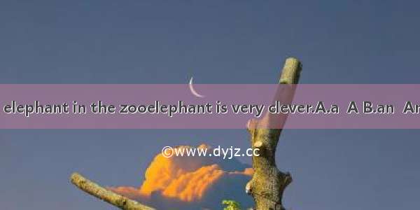 ）There is elephant in the zooelephant is very clever.A.a  A B.an  An C.an  The