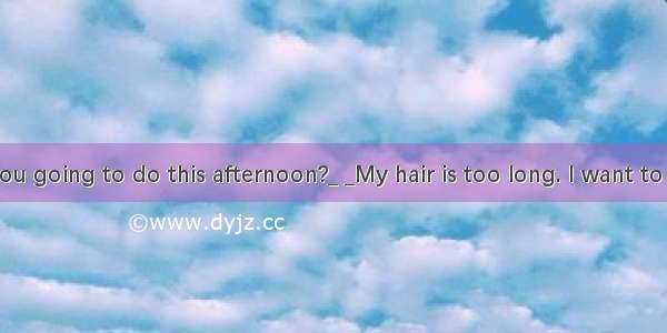 _ _What are you going to do this afternoon?_ _My hair is too long. I want to get my hair.A