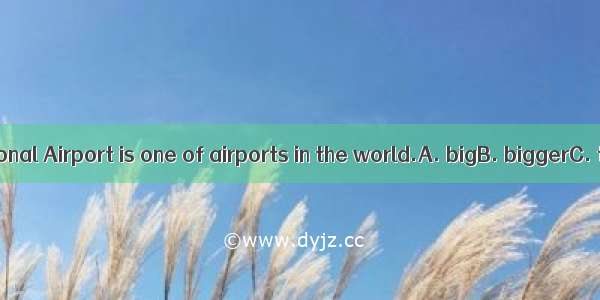 Pudong International Airport is one of airports in the world.A. bigB. biggerC. the biggerD