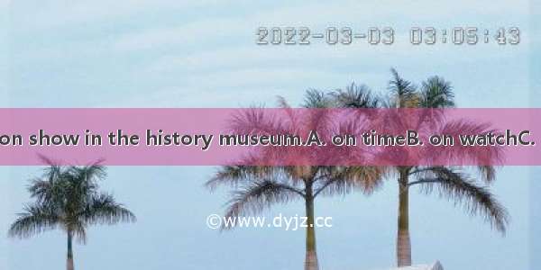 The paintings are on show in the history museum.A. on timeB. on watchC. on dutyD. on displ