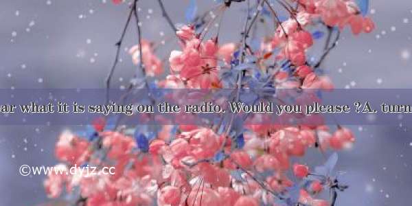 I can hardly hear what it is saying on the radio. Would you please ?A. turn it downB. turn