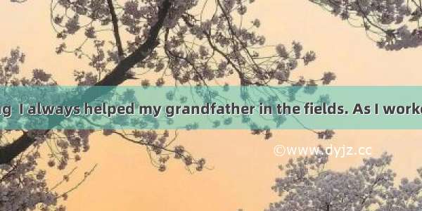 When I was young  I always helped my grandfather in the fields. As I worked beside him  he