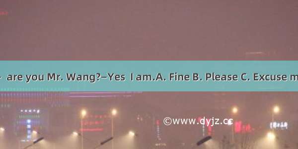 —  are you Mr. Wang?—Yes  I am.A. Fine B. Please C. Excuse me