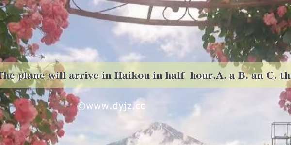 The plane will arrive in Haikou in half  hour.A. a B. an C. the