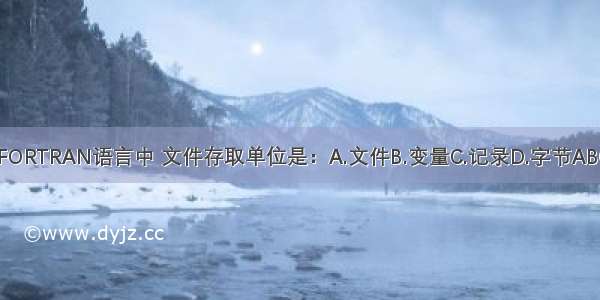 在FORTRAN语言中 文件存取单位是：A.文件B.变量C.记录D.字节ABCD