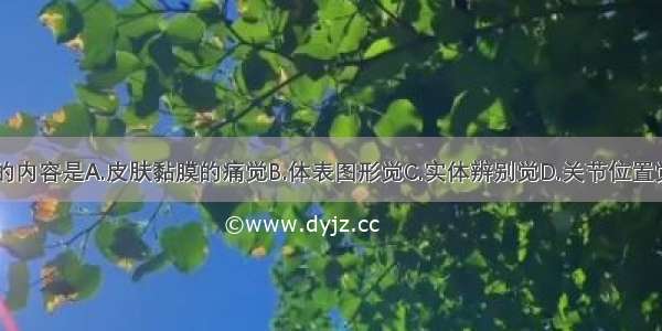 深感觉检查的内容是A.皮肤黏膜的痛觉B.体表图形觉C.实体辨别觉D.关节位置觉E.皮肤定位