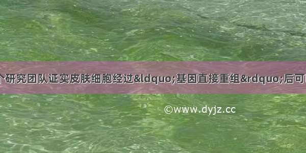  美国及日本两个研究团队证实皮肤细胞经过“基因直接重组”后可以转化成为具有