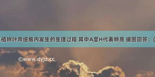 下图表示某植物叶肉细胞内发生的生理过程 其中A至H代表物质 据图回答：(1) D是。用