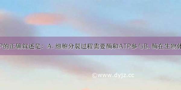 有关酶和ATP的正确叙述是：A. 细胞分裂过程需要酶和ATP参与B. 酶在生物体内的水解不