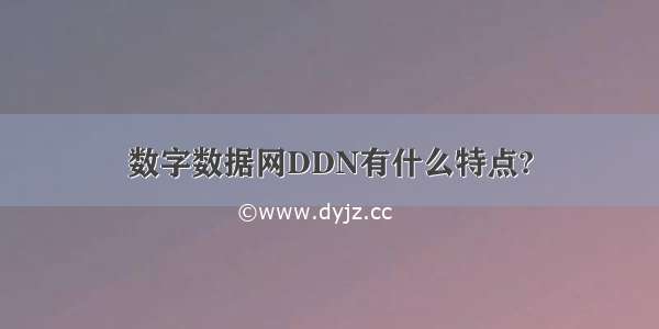 数字数据网DDN有什么特点?