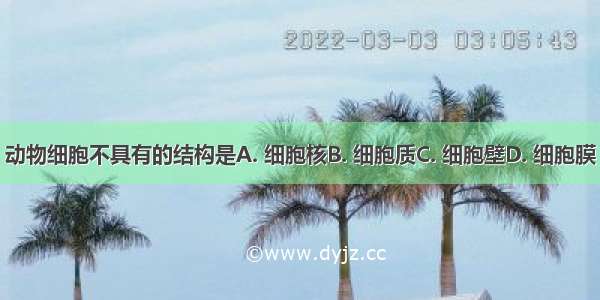 动物细胞不具有的结构是A. 细胞核B. 细胞质C. 细胞壁D. 细胞膜