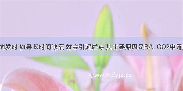 植物种子萌发时 如果长时间缺氧 就会引起烂芽 其主要原因是BA. CO2中毒B. 酒精中