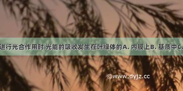 绿色植物进行光合作用时 光能的吸收发生在叶绿体的A. 内膜上B. 基质中C. 类囊体膜