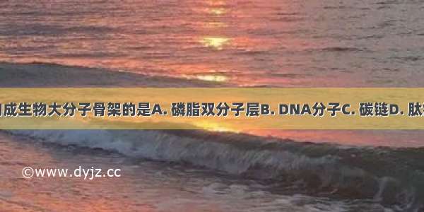 构成生物大分子骨架的是A. 磷脂双分子层B. DNA分子C. 碳链D. 肽键