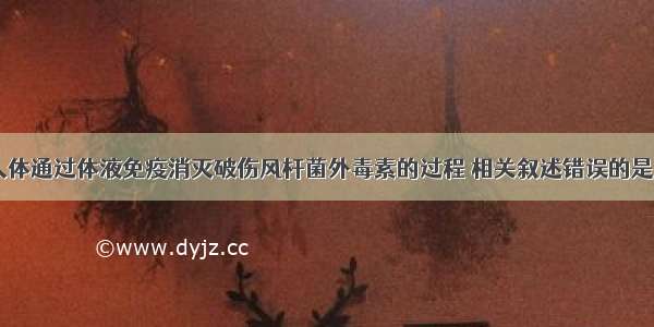 下图表示人体通过体液免疫消灭破伤风杆菌外毒素的过程 相关叙述错误的是A. 细胞2 3