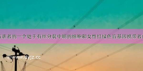 男性红绿色盲患者的一个处于有丝分裂中期的细胞和女性红绿色盲基因携带者的一个处于减