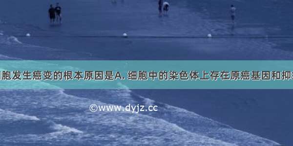 导致正常细胞发生癌变的根本原因是A. 细胞中的染色体上存在原癌基因和抑癌基因B. 致