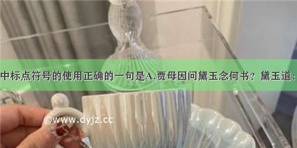 单选题下列句子中标点符号的使用正确的一句是A.贾母因问黛玉念何书？黛玉道：&ldquo;只刚念