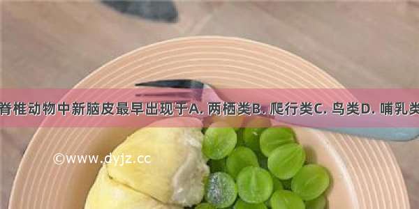 脊椎动物中新脑皮最早出现于A. 两栖类B. 爬行类C. 鸟类D. 哺乳类