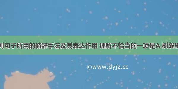 单选题对下列句子所用的修辞手法及其表达作用 理解不恰当的一项是A.树缝里也漏着一两