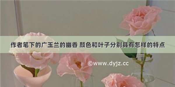 作者笔下的广玉兰的幽香 颜色和叶子分别具有怎样的特点