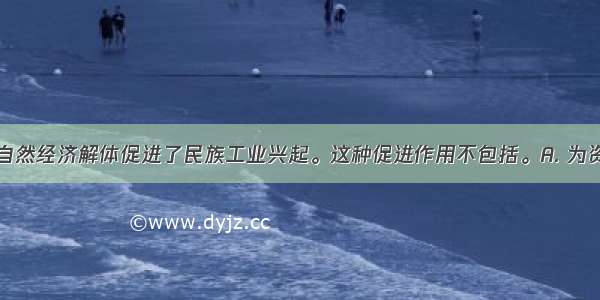 鸦片战争后自然经济解体促进了民族工业兴起。这种促进作用不包括。A. 为资本主义发展