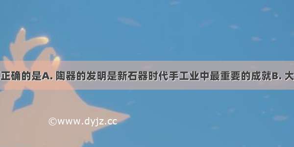 下列说法不正确的是A. 陶器的发明是新石器时代手工业中最重要的成就B. 大汶口文化晚