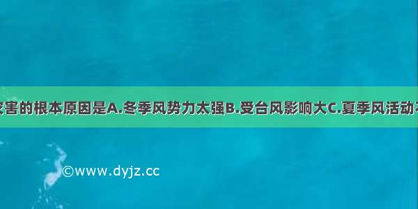 我国多水旱灾害的根本原因是A.冬季风势力太强B.受台风影响大C.夏季风活动不稳定D.地势