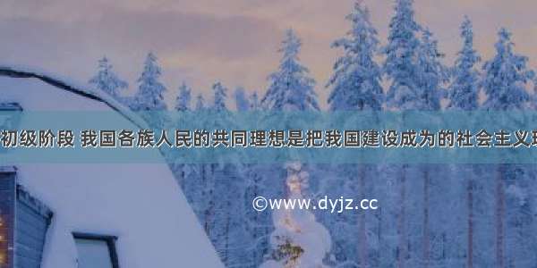 在社会主义初级阶段 我国各族人民的共同理想是把我国建设成为的社会主义现代化国家。