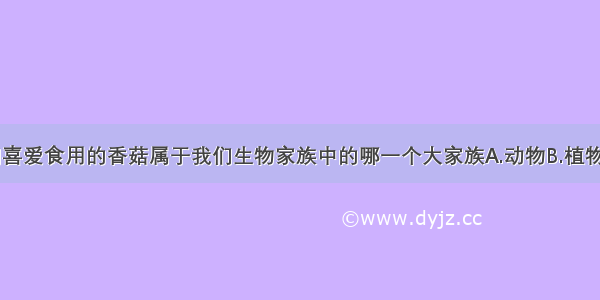 单选题我们喜爱食用的香菇属于我们生物家族中的哪一个大家族A.动物B.植物C.真菌D.细