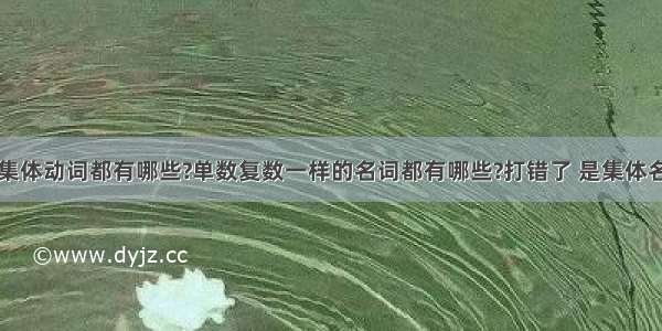 【集体动词都有哪些?单数复数一样的名词都有哪些?打错了 是集体名词】