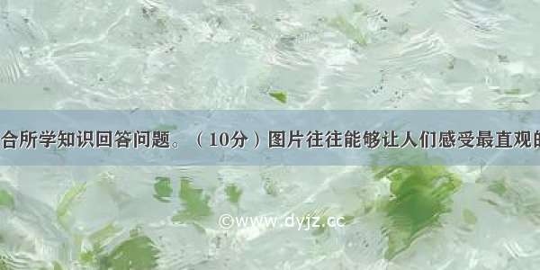 阅读材料 结合所学知识回答问题。（10分）图片往往能够让人们感受最直观的历史。下列