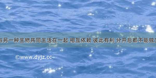 一种生物与另一种生物共同生活在一起 相互依赖 彼此有利 分开后都不能独立生活的现