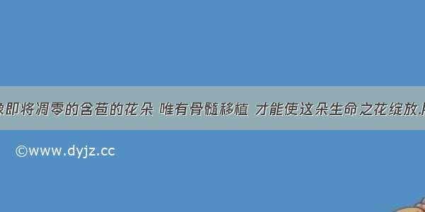 【生命就像即将凋零的含苞的花朵 唯有骨髓移植 才能使这朵生命之花绽放.用了什么修】