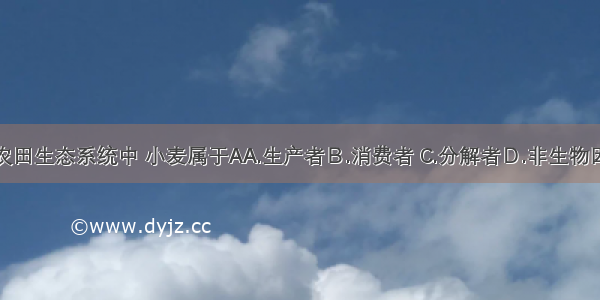 在农田生态系统中 小麦属于AA.生产者Ｂ.消费者 C.分解者Ｄ.非生物因素